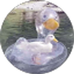 Profile photo of Jon