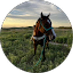 Profile photo of Kayla Meier