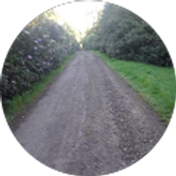 Profile photo of Karen Fitzpatrick