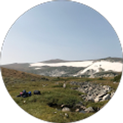 Profile photo of Tyler Power