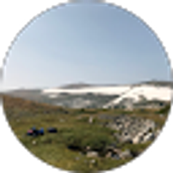 Profile photo of Tyler Power