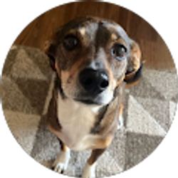 Profile photo of Regina Smith