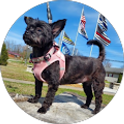 Profile photo of Ian Leonard