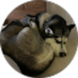 Profile photo of Saballos Saballos