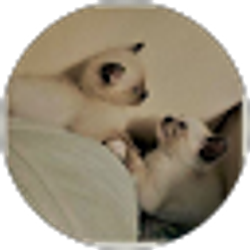 Profile photo of L Z