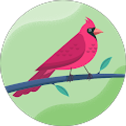 Profile photo of Cash Co