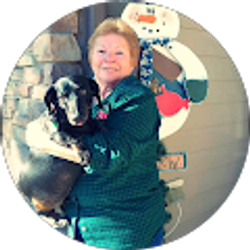 Profile photo of Debbie Thomas