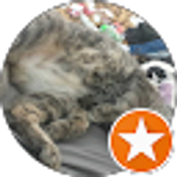 Profile photo of M Reneé