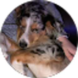 Profile photo of Madison Bigelow