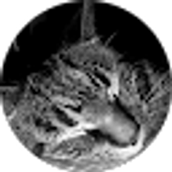 Profile photo of Beth Sloane