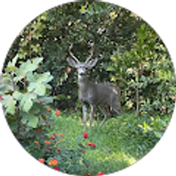 Profile photo of Ralph and Jeanne Alley