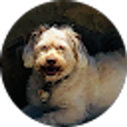 Profile photo of Kathleen Russell Hardin