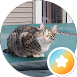 Profile photo of Sue Wiese