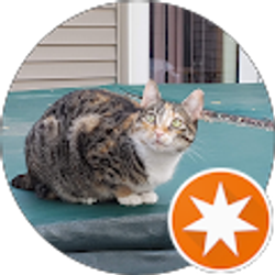 Profile photo of Sue Wiese