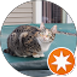 Profile photo of Sue Wiese