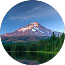 Profile photo of I D