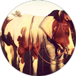 Profile photo of Hailey Hagadorn
