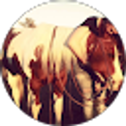 Profile photo of Hailey Hagadorn
