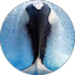 Profile photo of Christopher Tebbe
