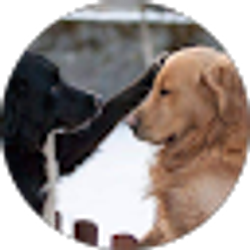 Profile photo of Tammy Gmail