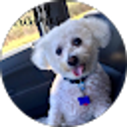 Profile photo of Lisa DiLabbio