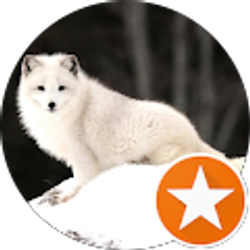 Profile photo of Tristan Roszkowski