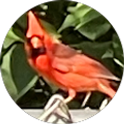 Profile photo of L Moore