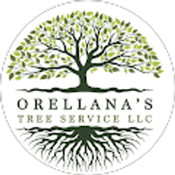 Profile photo of ALEX Orellana