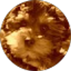 Profile photo of Laura Cialone