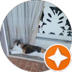 Profile photo of Sherry Bell