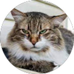 Profile photo of Daniel Whipple