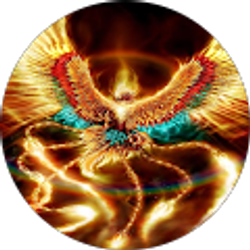 Profile photo of Tiger Chen