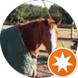 Profile photo of SHANDY MOUNCE