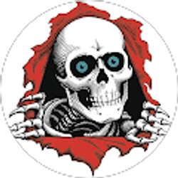 Profile photo of Nick B