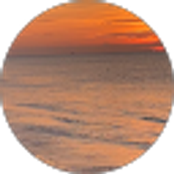 Profile photo of Selena Morales