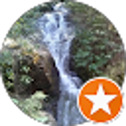 Profile photo of Bonnie M