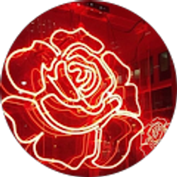 Profile photo of sonia herrera