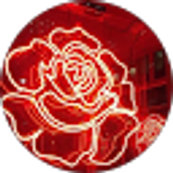 Profile photo of sonia herrera