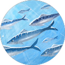 Profile photo of Oneida Armas