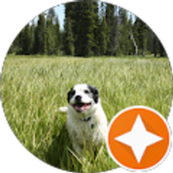 Profile photo of Jana Buchi