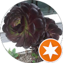 Profile photo of Dan