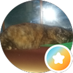 Profile photo of Cheryl Ivill
