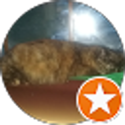 Profile photo of Cheryl Ivill