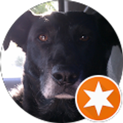 Profile photo of sj65gia