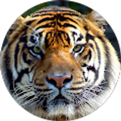 Profile photo of John Mason