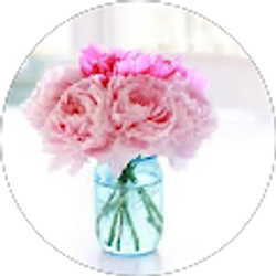 Profile photo of Melissa Nataluk