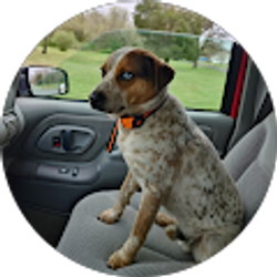 Profile photo of BioPop 25