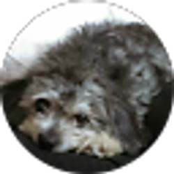 Profile photo of Maria Hernandez