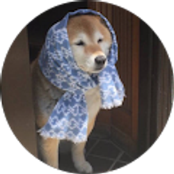 Profile photo of Xiaotao Xu