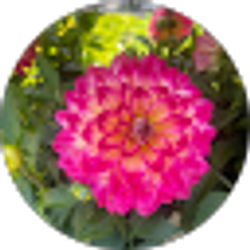 Profile photo of jewelsfool07